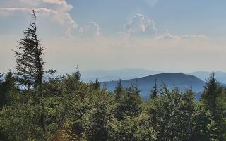 Jaworzyna Krynicka 2 - 27-06-2026 15:14