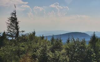 Jaworzyna Krynicka 2 - 27-06-2026 15:22