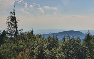 Jaworzyna Krynicka 2 - 27-06-2026 15:29