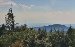 Jaworzyna Krynicka 2 - 27-06-2026 15:37