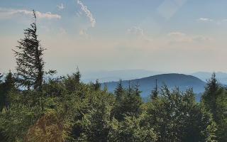 Jaworzyna Krynicka 2 - 27-06-2026 15:52