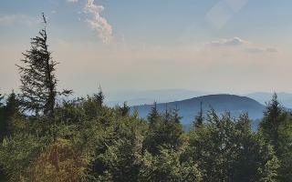 Jaworzyna Krynicka 2 - 27-06-2026 16:00