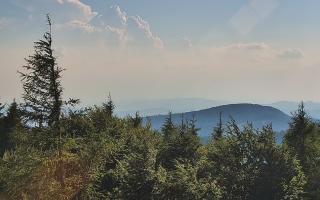 Jaworzyna Krynicka 2 - 27-06-2026 16:07