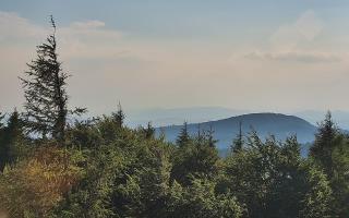 Jaworzyna Krynicka 2 - 27-06-2026 16:38
