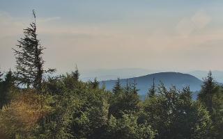 Jaworzyna Krynicka 2 - 27-06-2026 16:45
