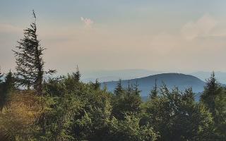Jaworzyna Krynicka 2 - 27-06-2026 16:53