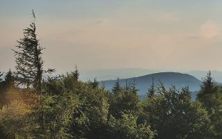 Jaworzyna Krynicka 2 - 27-06-2026 17:08
