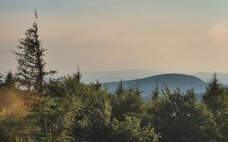 Jaworzyna Krynicka 2 - 27-06-2026 17:16