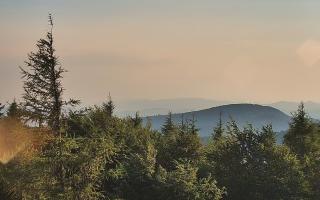 Jaworzyna Krynicka 2 - 27-06-2026 17:23