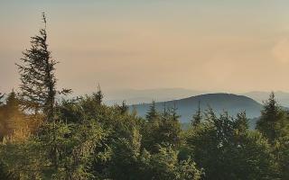 Jaworzyna Krynicka 2 - 27-06-2026 17:31
