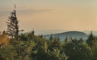Jaworzyna Krynicka 2 - 27-06-2026 17:46