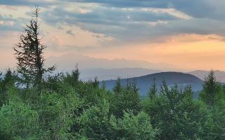 Jaworzyna Krynicka 2 - 30-07-2026 17:50