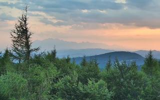 Jaworzyna Krynicka 2 - 30-07-2026 17:58