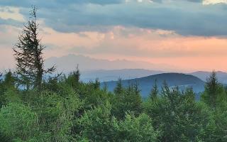 Jaworzyna Krynicka 2 - 30-07-2026 18:05