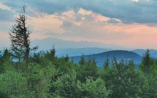 Jaworzyna Krynicka 2 - 30-07-2026 18:13