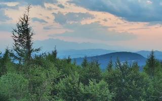 Jaworzyna Krynicka 2 - 30-07-2026 18:20