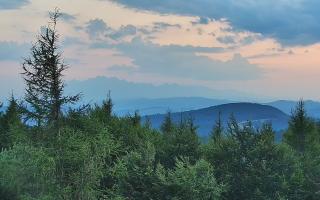 Jaworzyna Krynicka 2 - 30-07-2026 18:28