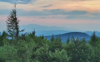 Jaworzyna Krynicka 2 - 01-08-2026 17:56