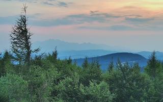 Jaworzyna Krynicka 2 - 01-08-2026 18:04