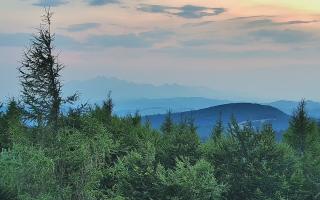 Jaworzyna Krynicka 2 - 01-08-2026 18:11