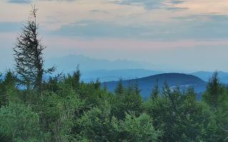 Jaworzyna Krynicka 2 - 01-08-2026 18:19