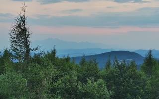 Jaworzyna Krynicka 2 - 01-08-2026 18:26