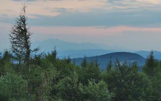 Jaworzyna Krynicka 2 - 01-08-2026 18:34