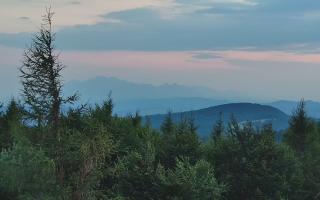 Jaworzyna Krynicka 2 - 01-08-2026 18:42
