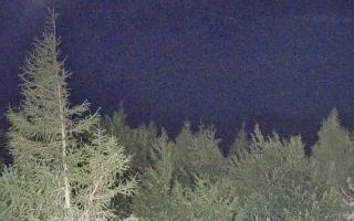 Jaworzyna Krynicka 2 - 01-08-2026 19:19