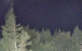 Jaworzyna Krynicka 2 - 01-08-2026 20:05