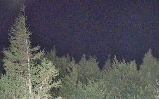Jaworzyna Krynicka 2 - 01-08-2026 20:20