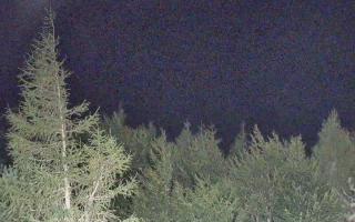 Jaworzyna Krynicka 2 - 01-08-2026 20:43