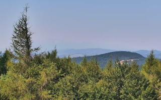Jaworzyna Krynicka 2 - 04-08-2026 07:27