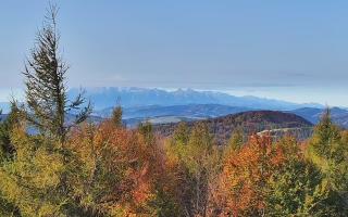 Jaworzyna Krynicka 2 - 17-10-2026 08:23