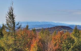 Jaworzyna Krynicka 2 - 17-10-2026 09:23