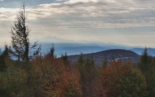 Jaworzyna Krynicka 2 - 17-10-2026 12:41