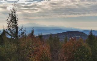 Jaworzyna Krynicka 2 - 17-10-2026 12:49