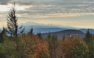Jaworzyna Krynicka 2 - 17-10-2026 13:04