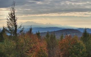 Jaworzyna Krynicka 2 - 17-10-2026 13:26