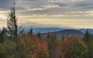 Jaworzyna Krynicka 2 - 17-10-2026 13:42