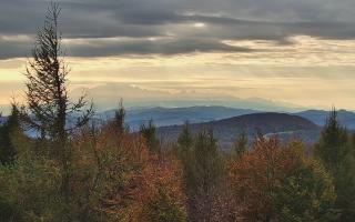 Jaworzyna Krynicka 2 - 17-10-2026 14:04
