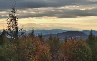 Jaworzyna Krynicka 2 - 17-10-2026 14:20