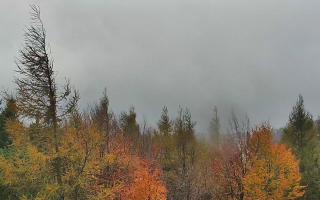 Jaworzyna Krynicka 2 - 26-10-2026 13:00