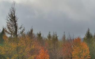 Jaworzyna Krynicka 2 - 26-10-2026 13:07