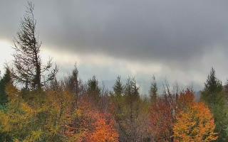 Jaworzyna Krynicka 2 - 26-10-2026 13:30