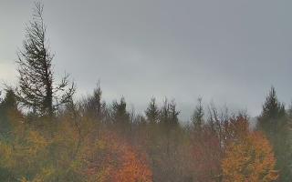 Jaworzyna Krynicka 2 - 26-10-2026 14:00