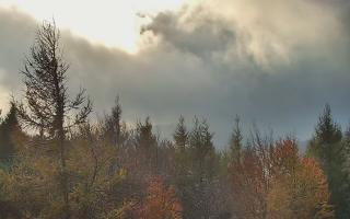 Jaworzyna Krynicka 2 - 26-10-2026 14:23