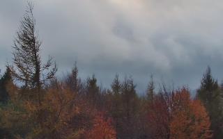 Jaworzyna Krynicka 2 - 26-10-2026 15:47
