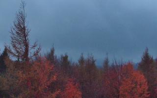 Jaworzyna Krynicka 2 - 26-10-2026 15:54