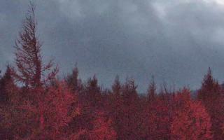 Jaworzyna Krynicka 2 - 26-10-2026 16:02